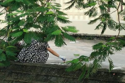 Đoàn viên thanh niên chi Đoàn trường tiểu học Giao Châu tham gia kẻ vạch ATGT vị trí khu để xe của các bậc phụ huynh vào các giờ đưa đón các bạn học sinh .